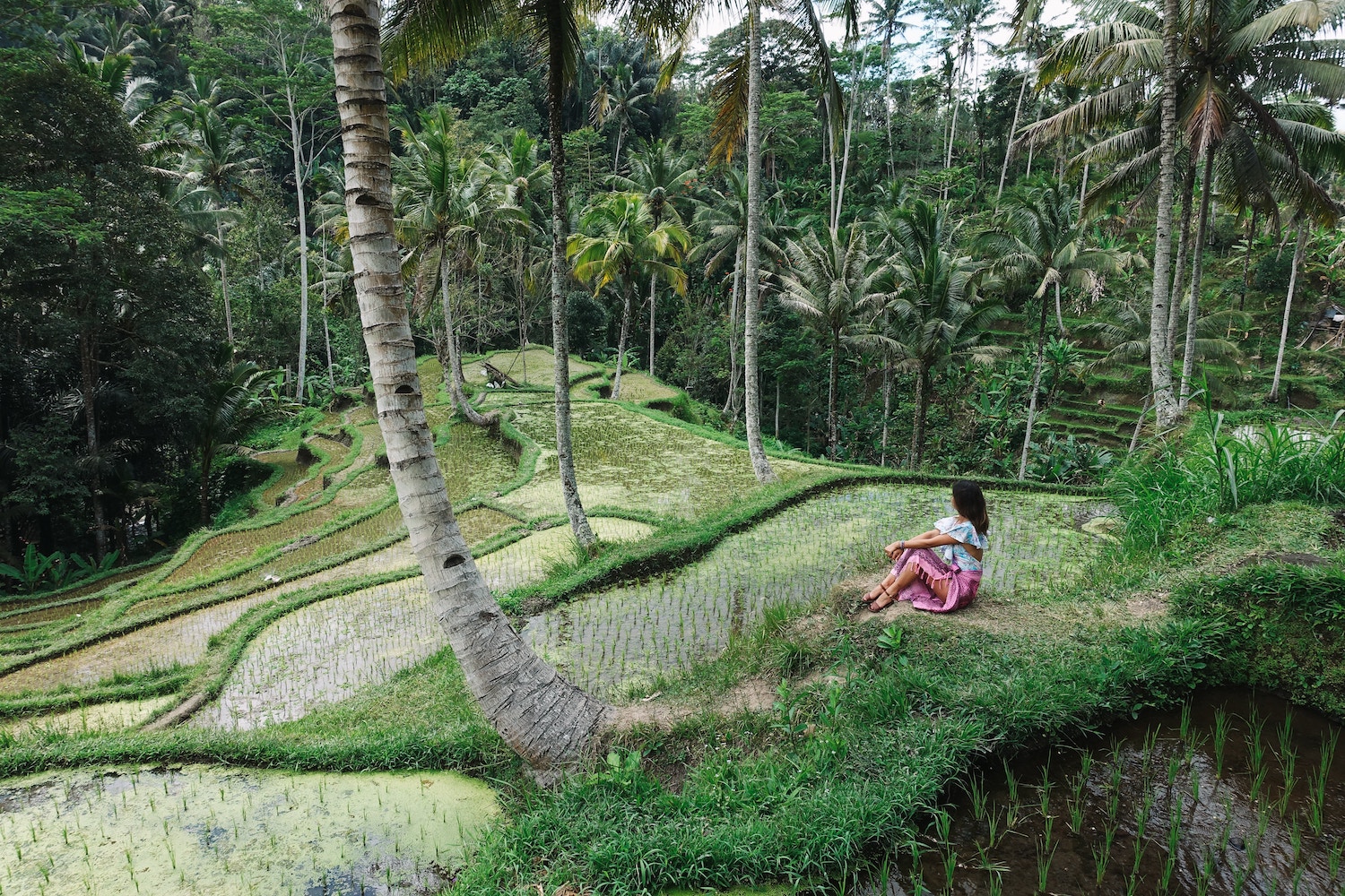Everything you need to know about visiting Ubud in Bali in this one comprehensive guide! Read more to find out where to go, what to do, where to stay and where to eat!