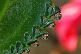 طبيعة ساحرة: صور رائعة للطبيعة مرسومة بألوان زيتية