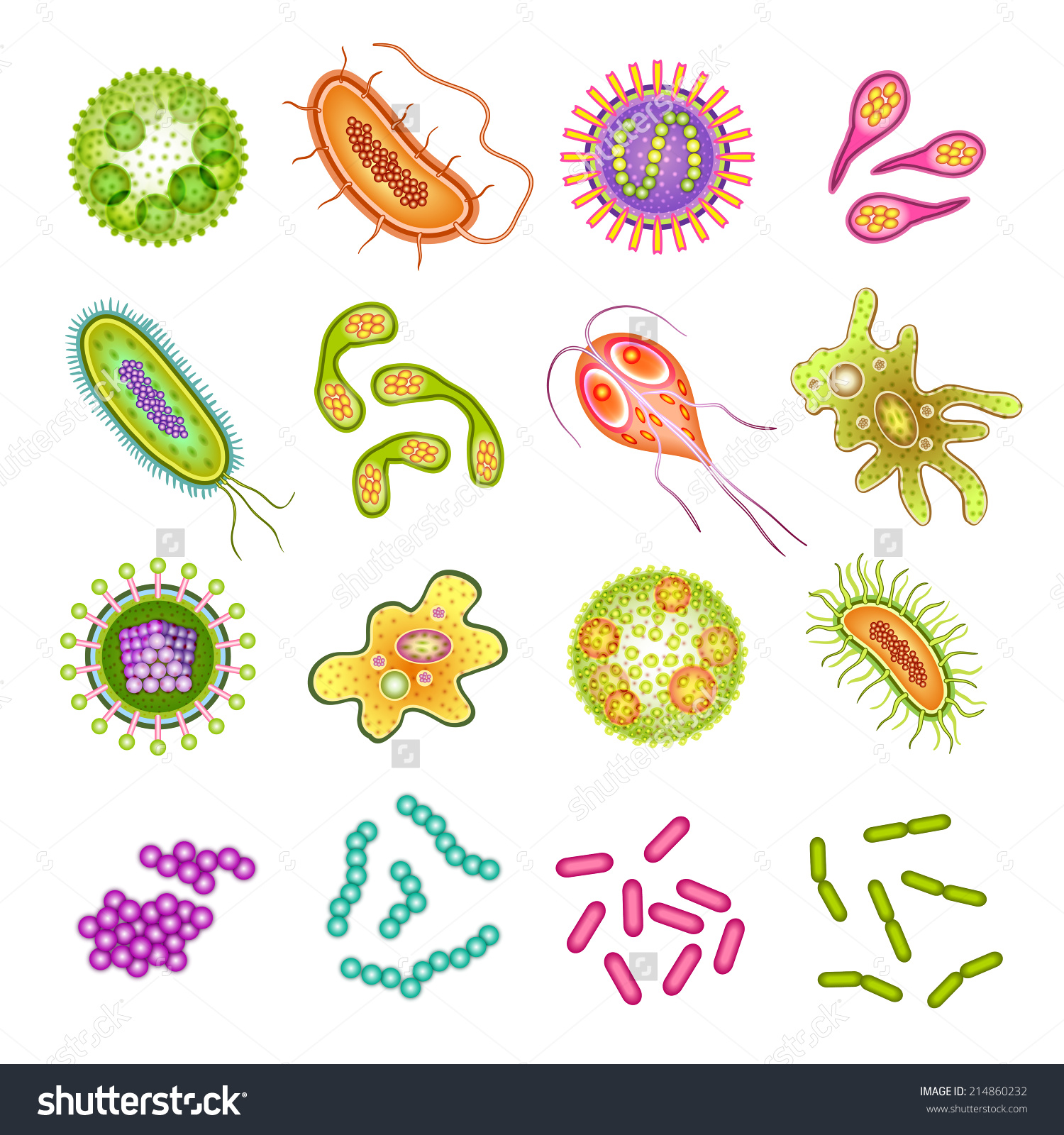 Pictures Of Germs And Viruses 52