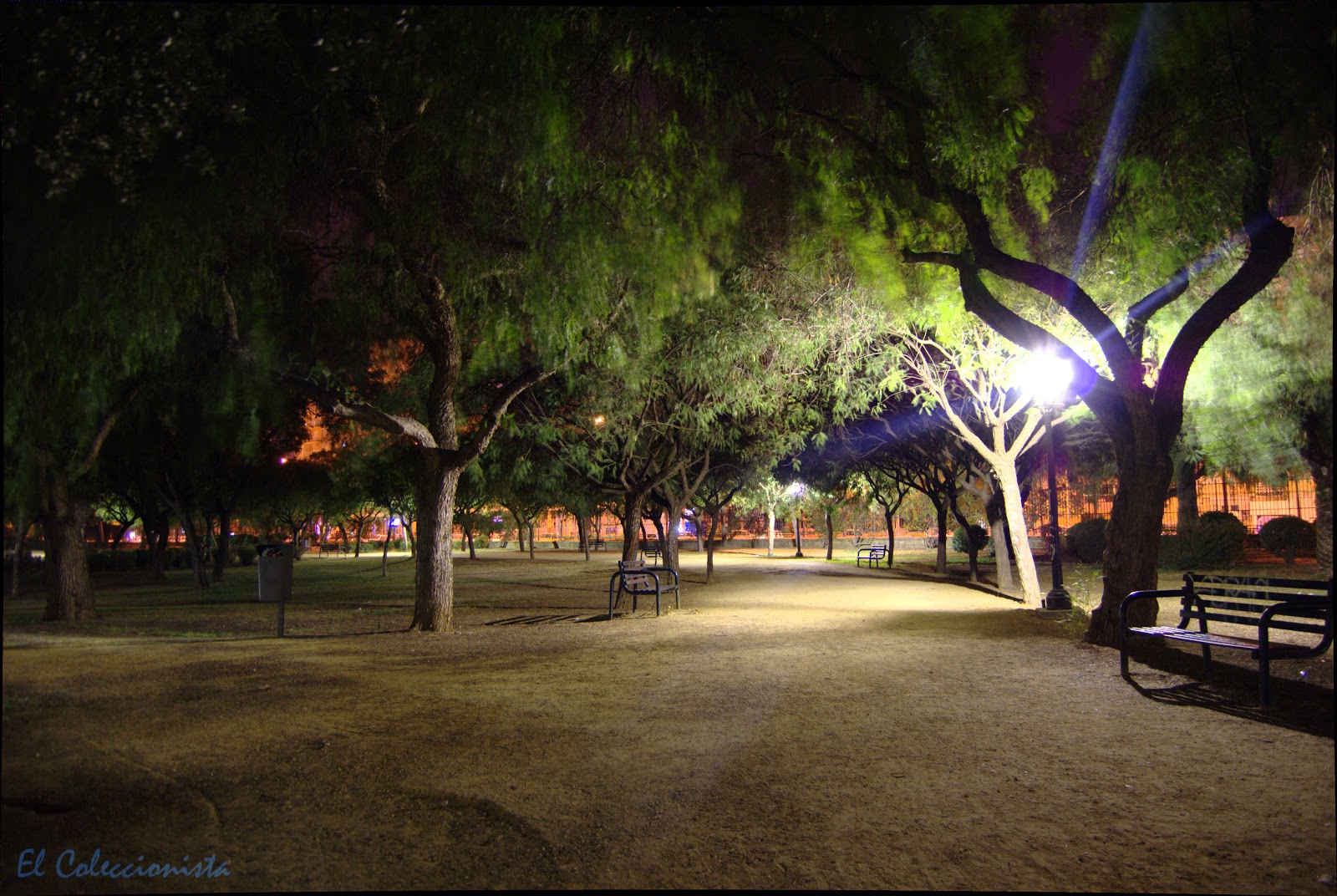 El coleccionista de luz Noche en el Parque Amate II