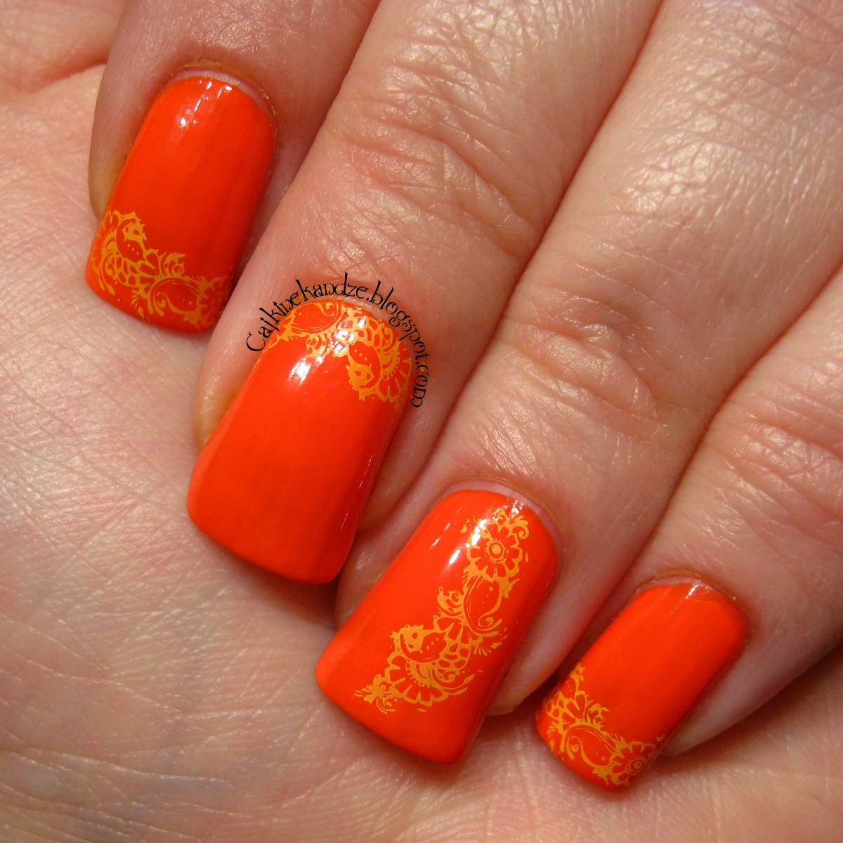 MoYou Nails 130 Cajkine kandže i sve njihove boje