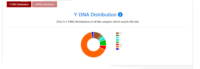 YDNDISTRIBUTION.jpg