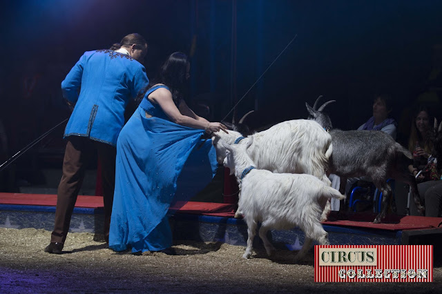 Spectacle, chèvre, Chris Rui, Franco junior et Linna Knie