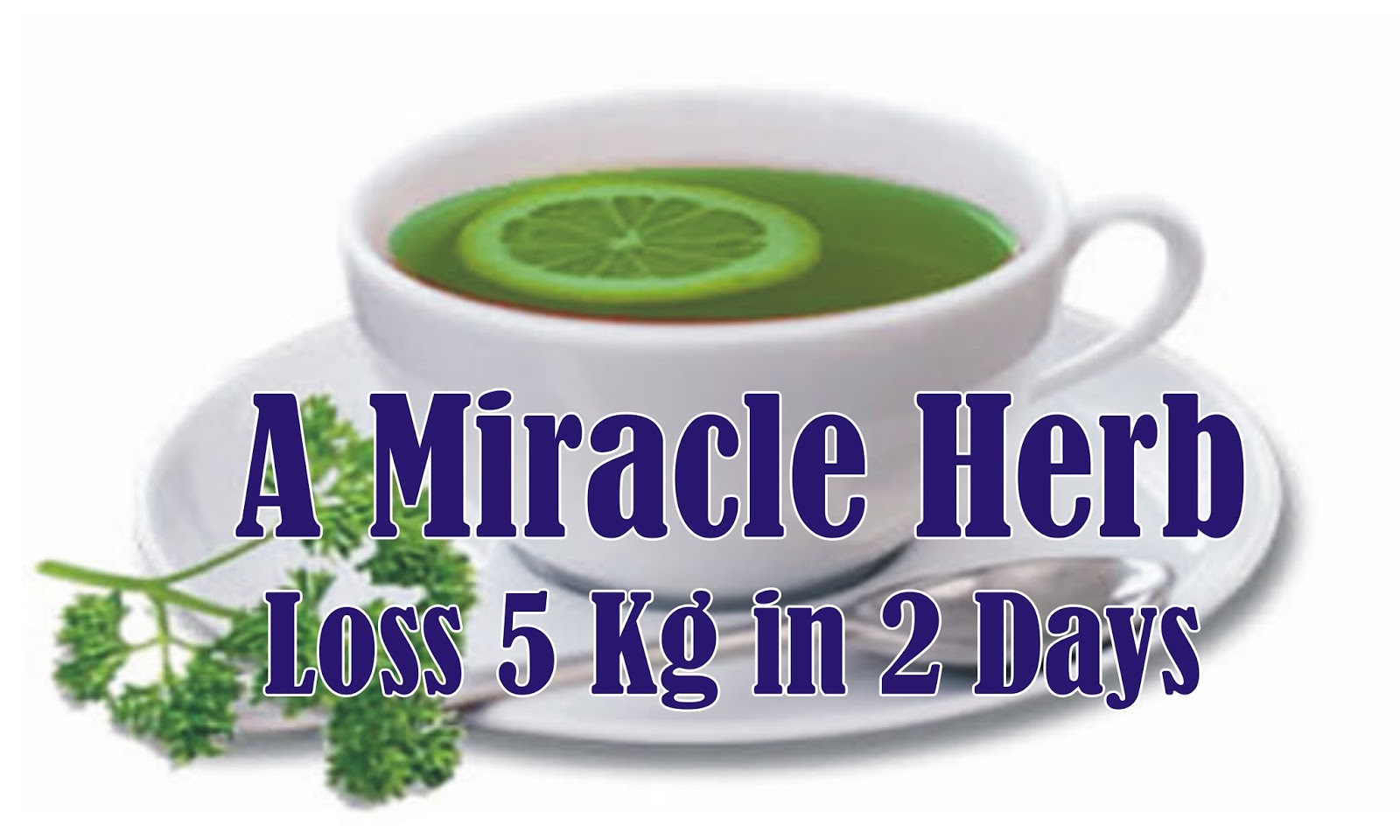 A Miracle Herb Loss 5 Kg in 2 Days WeightLoss