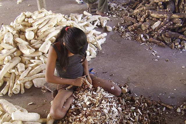 MPT lança plataforma com informações sobre trabalho infantil