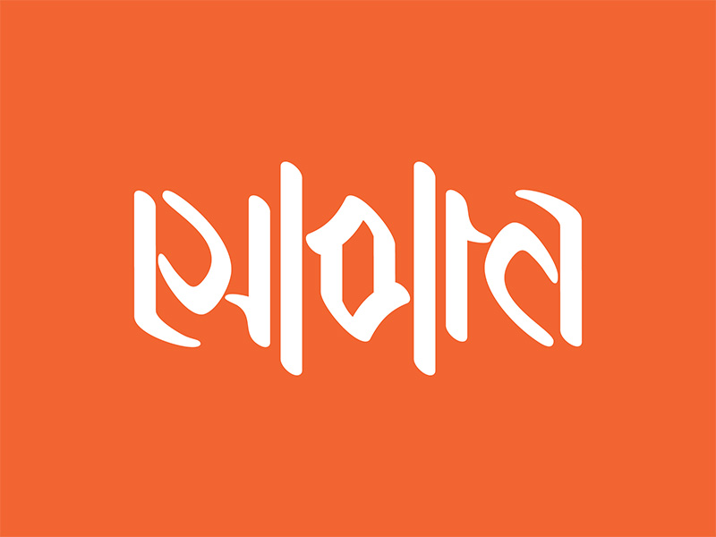 sopan social welfare & education organization ambigram reverse logo