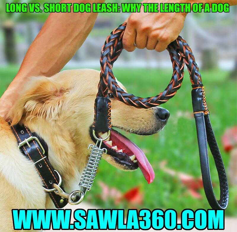 Long vs. Short Dog Leash Why the Length of a Dog Leash Matters? مدونة الأرباح