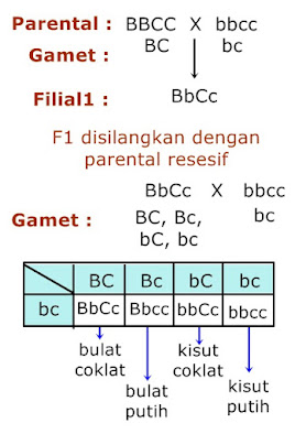 Bimbel Jakarta Timur