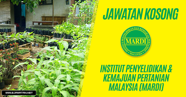 Jawatan Kosong di Institut Penyelidikan dan Kemajuan 