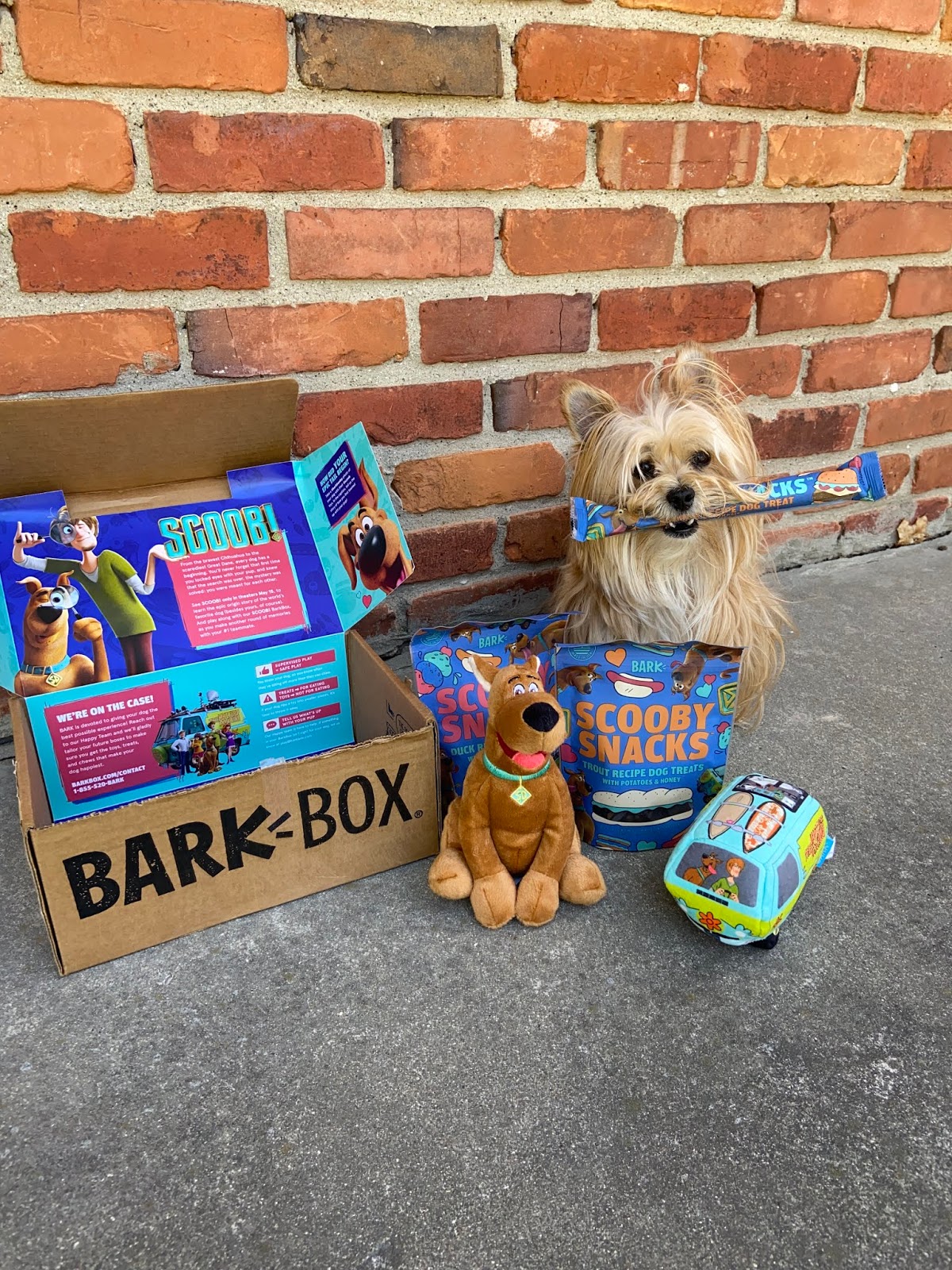 New SCOOB! Movie Barkbox Edition Fashion meets Food
