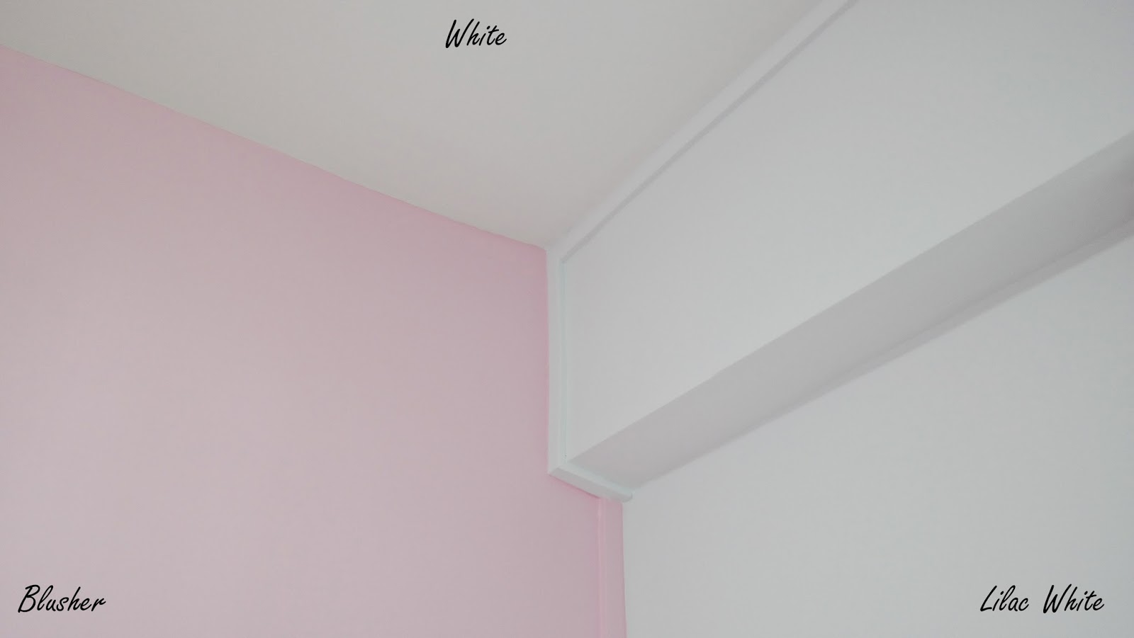 Ashlyn Thia Nippon Paint X Actual Paint Day