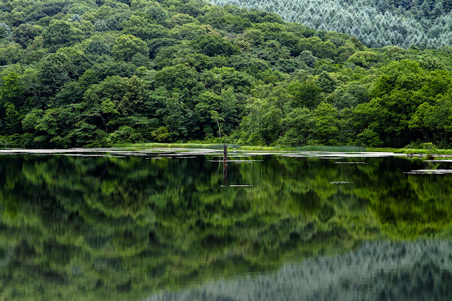 #photo #landscape #sigma #foveon #sdquattroh #japan #nagano #togakushi #長野県 #戸隠 #写真 #風景写真