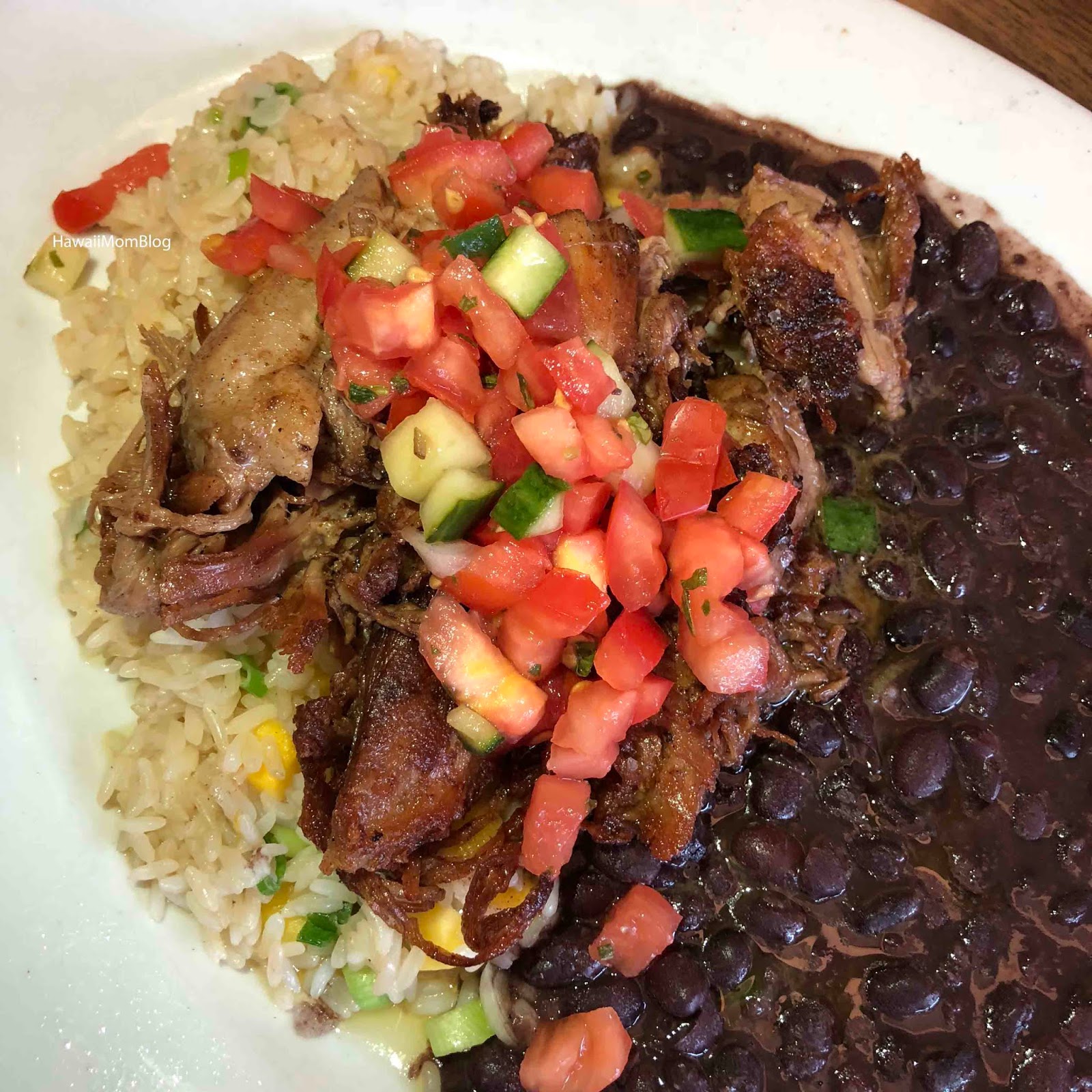 Hawaii Mom Blog Visit Pennsylvania Paladar Latin Kitchen & Rum Bar