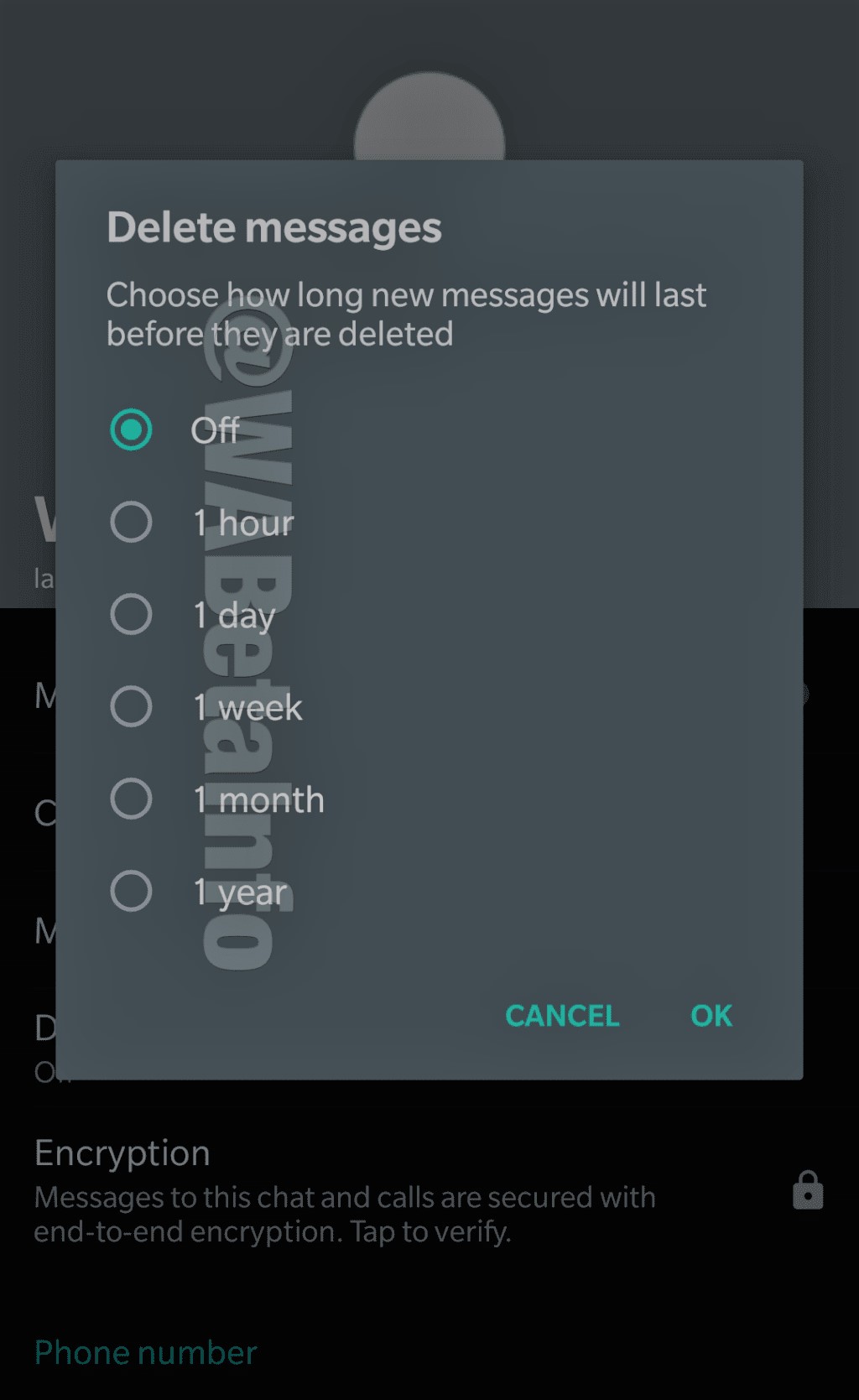 WhatsApp self destruction messages timer could be the next big thing WhatsApp self destruction messages timer could be the next big thing