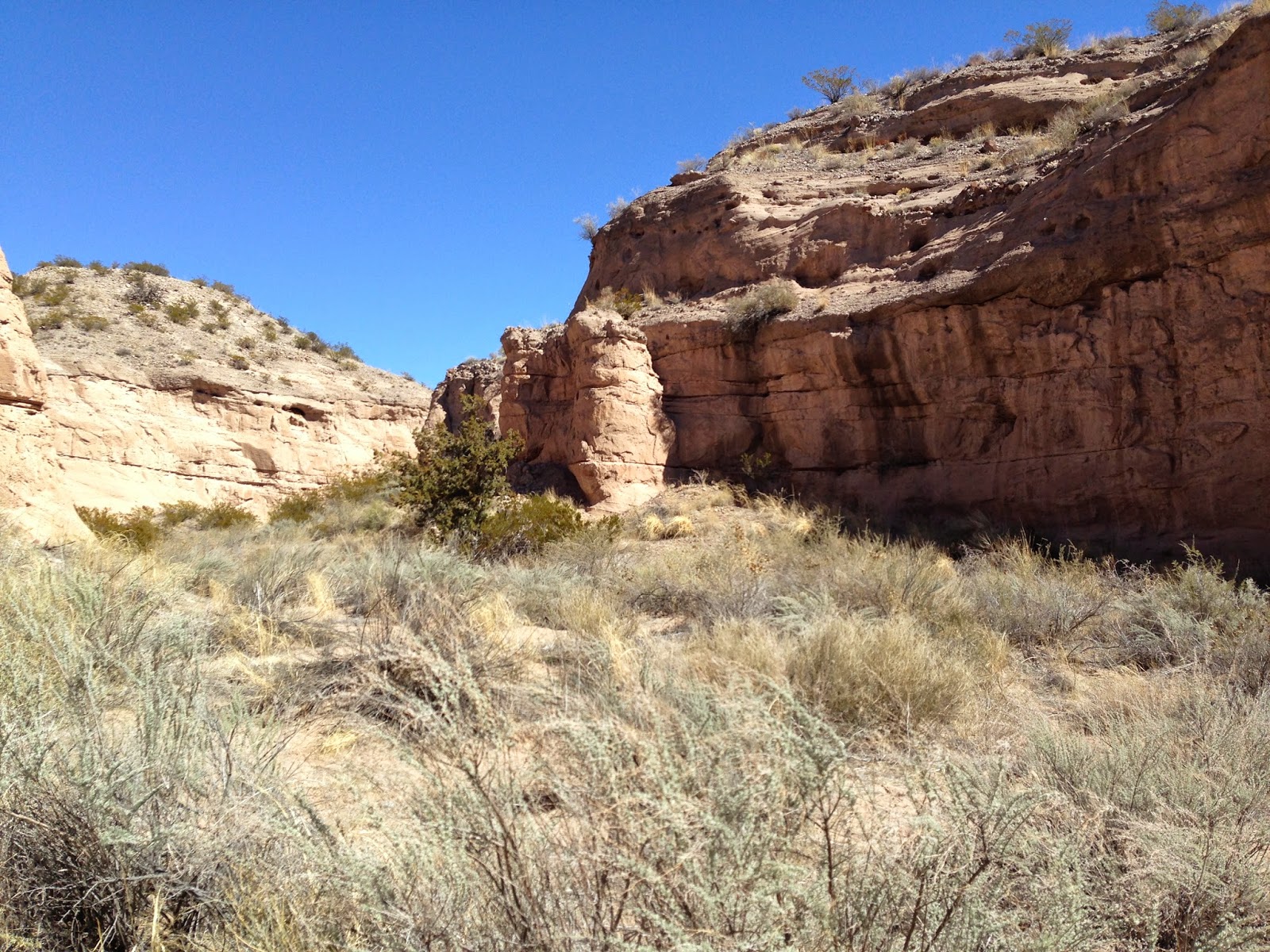 Southern New Mexico Explorer Canyon Trail Bosque del Apache Wildlife