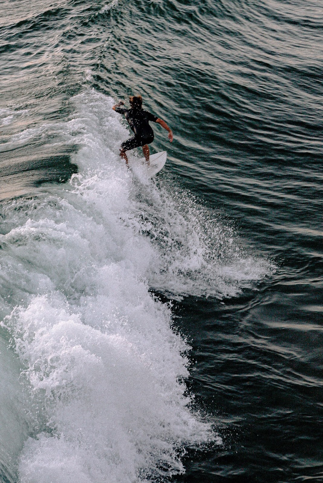 photo-of-man-surfing-on-sea-waves-2959619.jpg?profile=RESIZE_710x