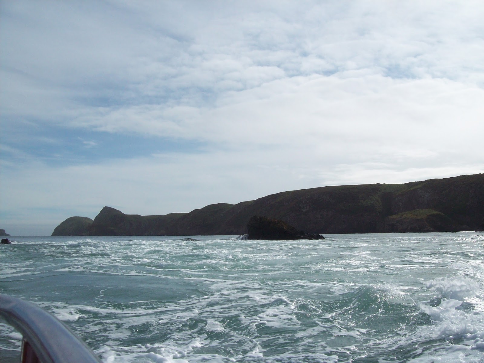 Places of interest in the United Kingdom Ramsey Island, Pembrokeshire