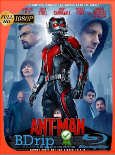 Ant-Man: El Hombre Hormiga (2015) BDRIP [1080p] Latino [GoogleDrive] SXGO