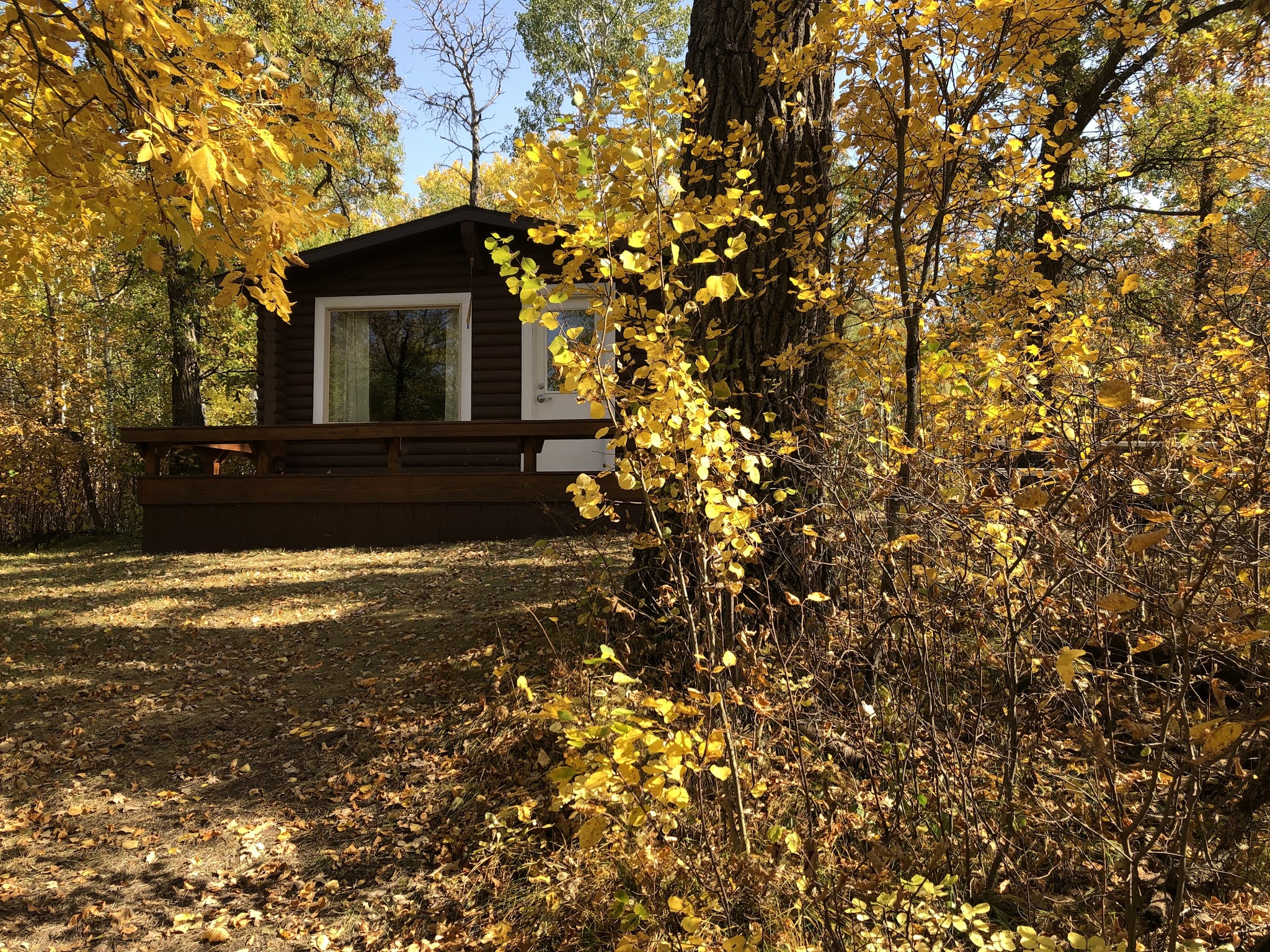 Moments, Memories, and Adventures Kayak outing to the Osprey Cabin at