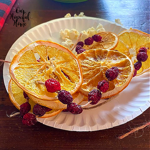 dried orange slice cranberry paper plate