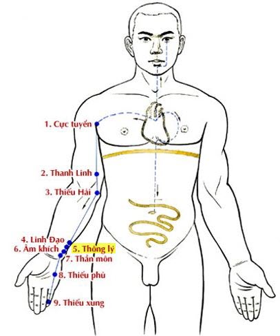 Vị trí huyệt thông lý