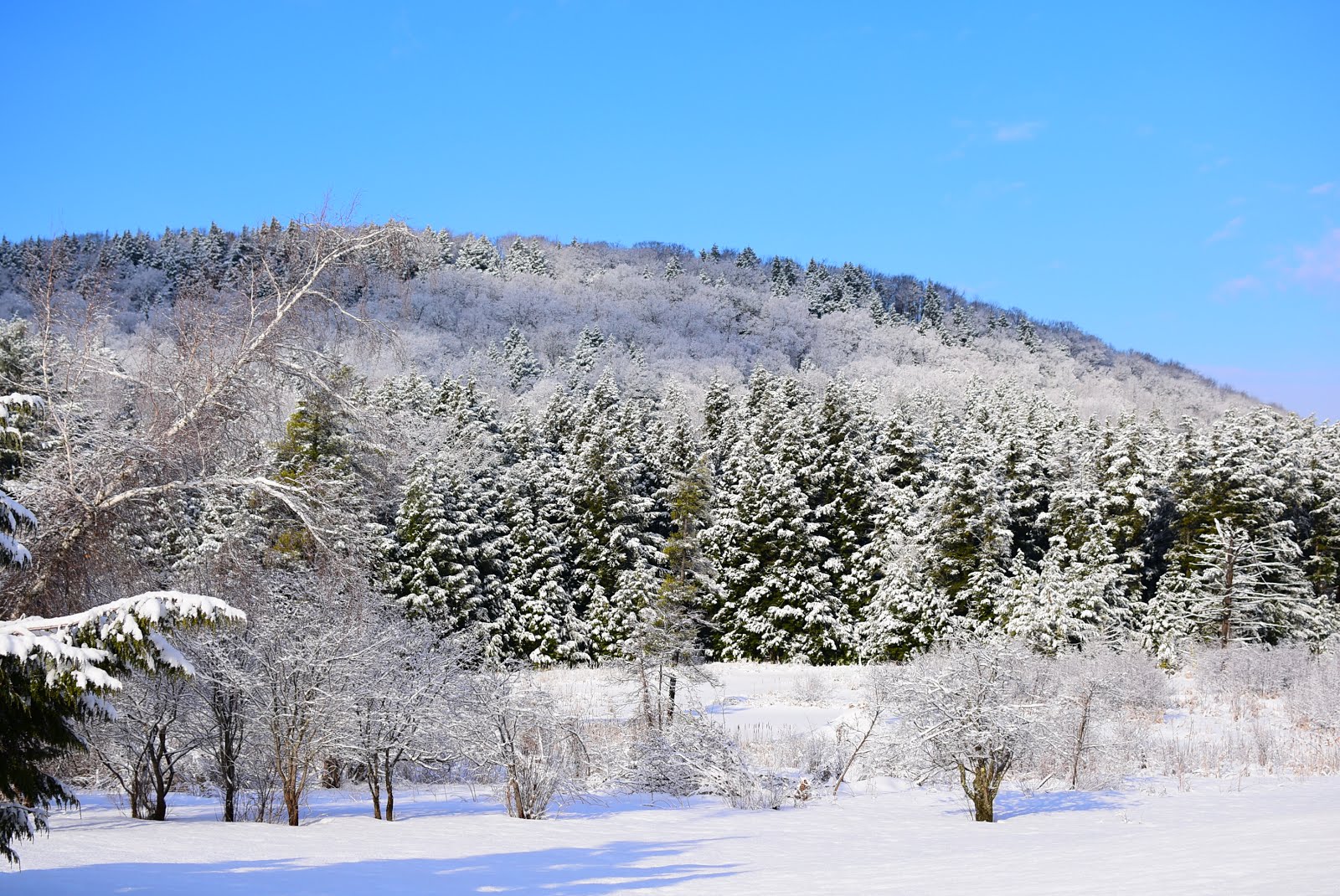 Jericho, Vermont Photos beaver pond Jericho Vt. Snowshoeing
