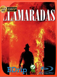 Llamaradas (1991) BDRIP 1080p Latino [GoogleDrive] SXGO