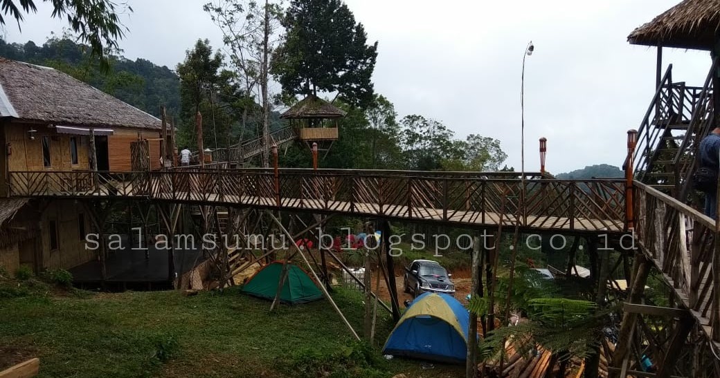Dimana Lokasi Rumah Pohon Habitat - Nyepi r