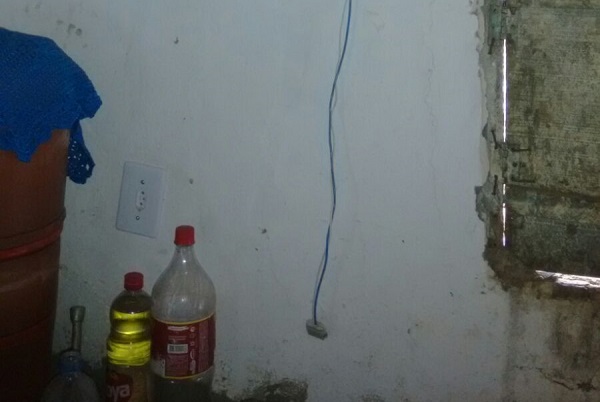 A dona do galinheiro improvisou uma cerca elétrica ligando um fio à tomada dentro da casa (Foto: Liberdade News)