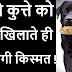 काले कुत्ते को रोटी खिलाने से ऐसे चमकेगी आपकी किस्मत, रारों रात बन जाओगे करोड़पति