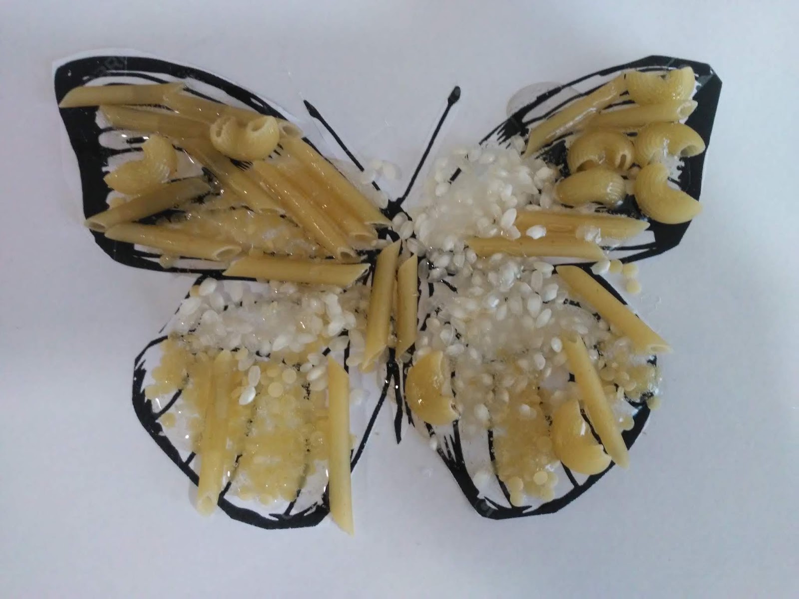 Cicle Superior SAMC MUSEU VIRTUAL VIII