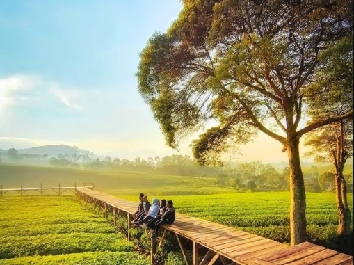 Keindahan Wisata Alam Nuansa Riung Gunung Pangalengan