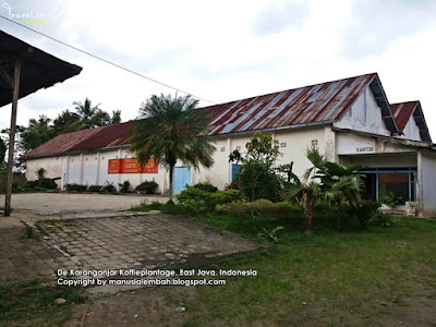 perkebunan kopi karanganyar pabrik kopi
