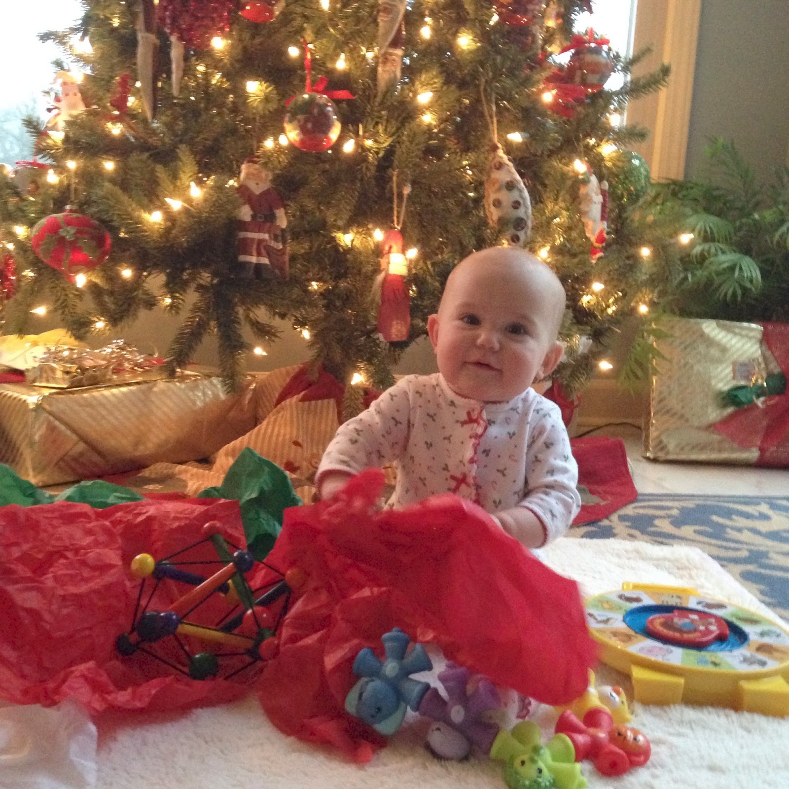 Christmassy Things! Carolina Charm