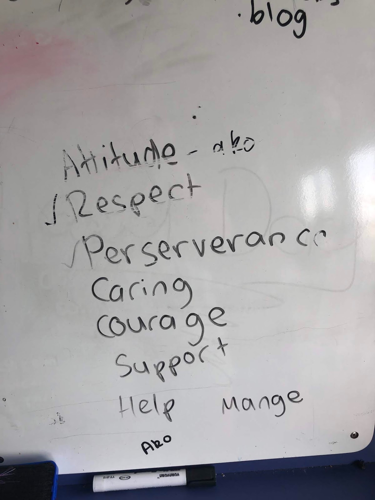 Chelsea's Digital Learning Journey Start of the year teaching values