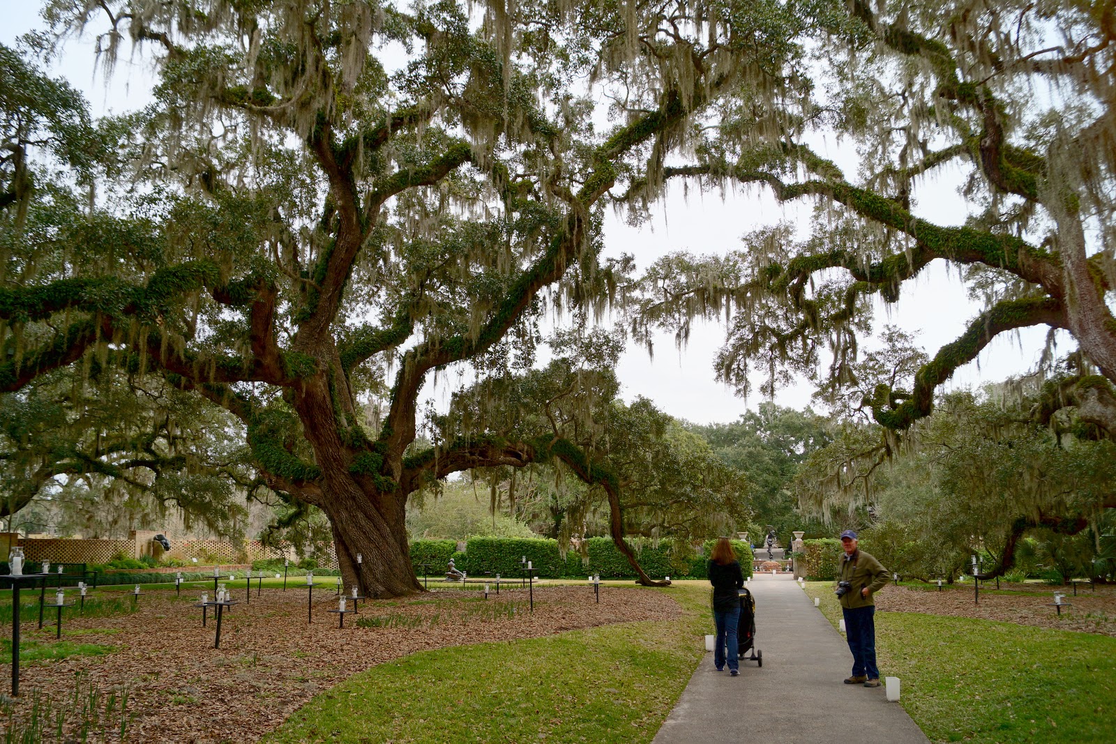 Dancing 'Cross the Country Brookgreen Gardens, South Carolina
