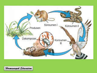 Interaksi Makhluk Hidup Dengan Lingkungan Kumpulan Materi Dan Tugas Perkuliahan Kehutanan