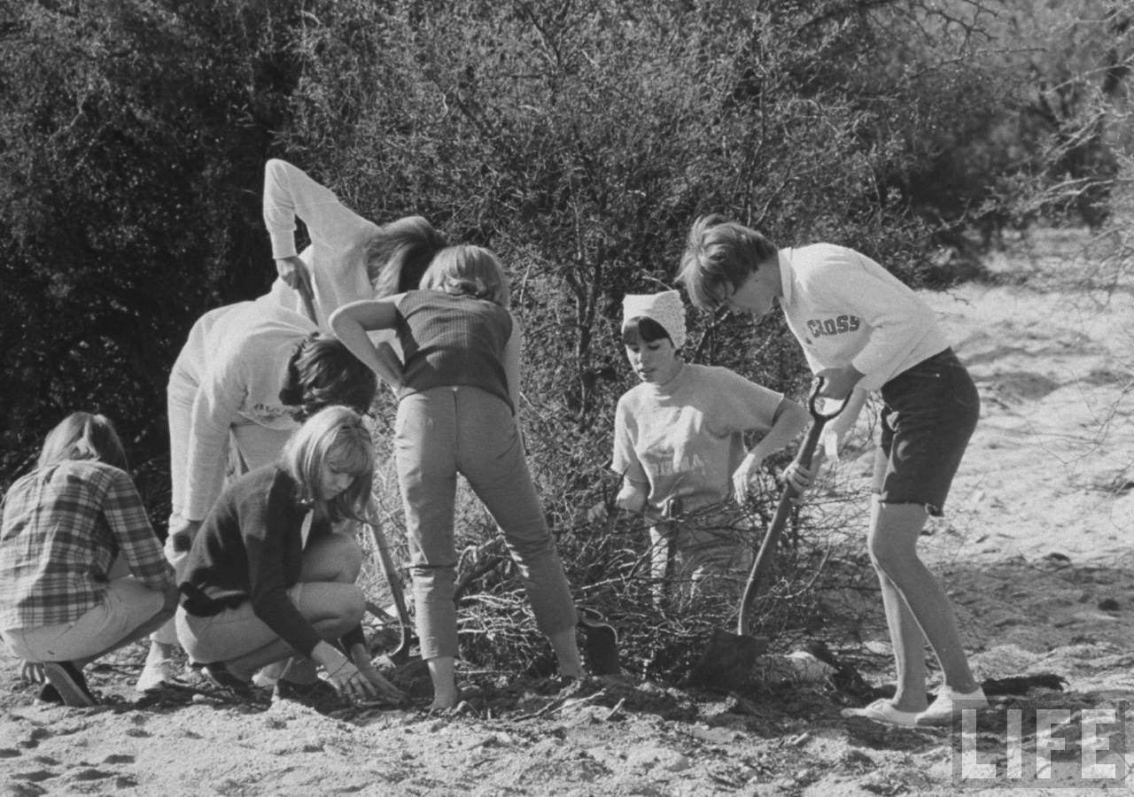 Friends of Murderer Charles Schmid, 1965 Vintage Everyday