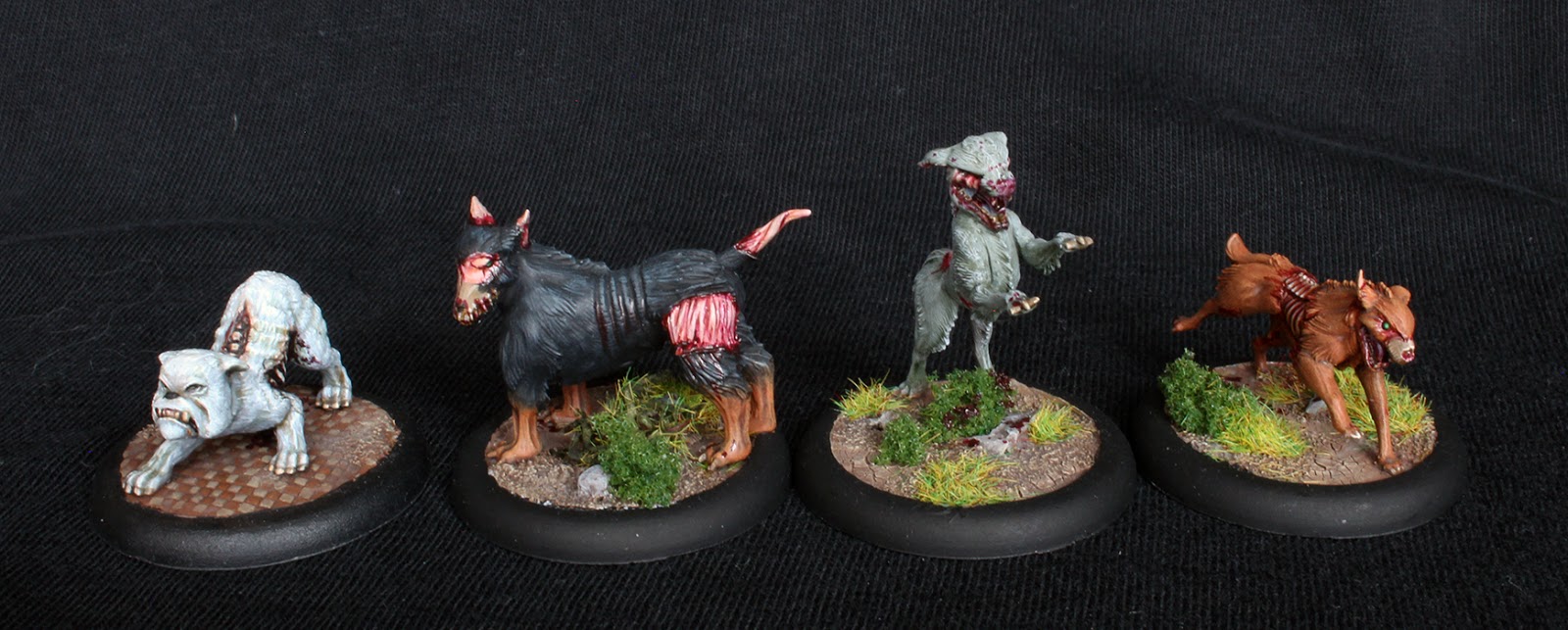 Canines_1.JPG