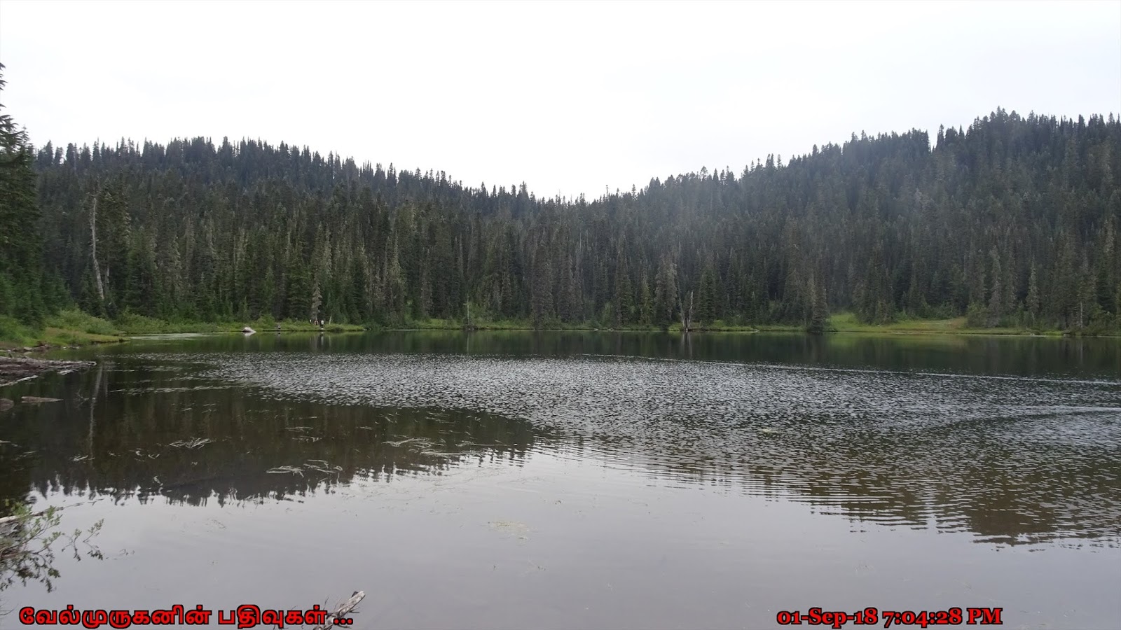 reflection lake hike mt rainier reflection lake hike mt rainier