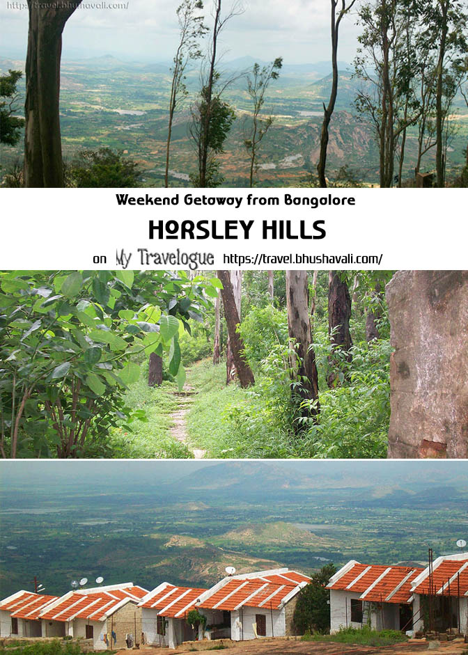 Hidden Hilltop Paradise - Things to do in Horsley Hills