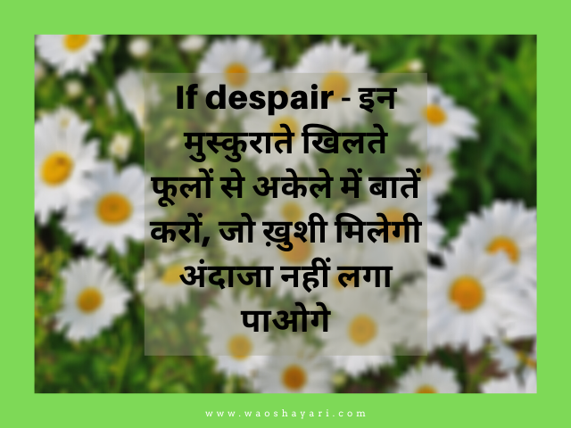 good morning flowers images for whatsapp status good morning flower for best wishes