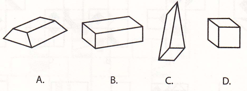 Contoh Soal Psikotes Jaring Jaring Bangun Ruang