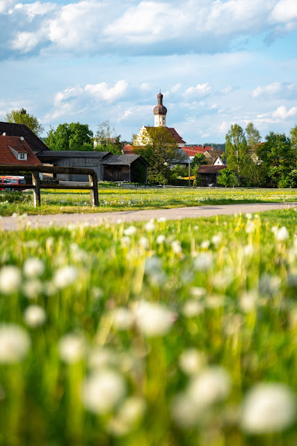 Premiumwanderweg DonAUwald  Etappe 5 von Höchstädt nach Schwenningen 18