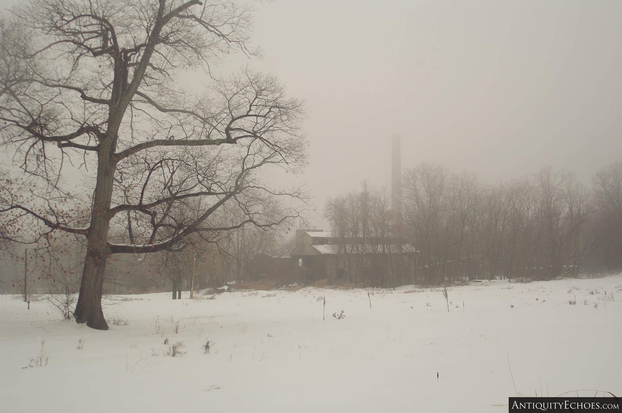 Overbrook Asylum - A Veil of Grey