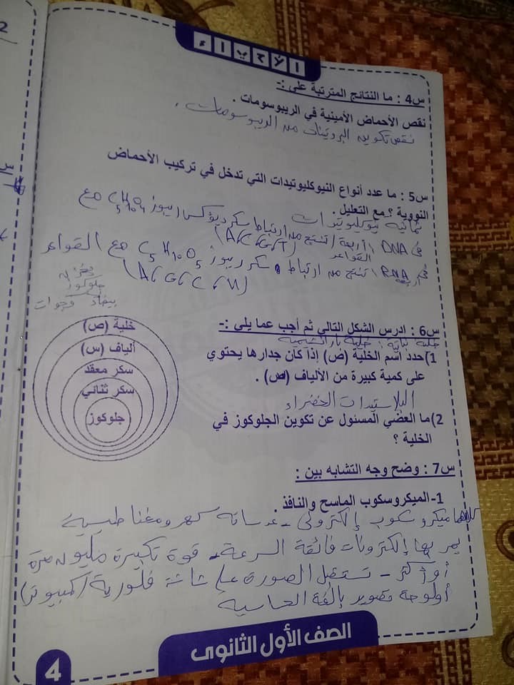 ٣ امتحانات احياء للصف الاول الثانوي ترم أول بالنظام الجديد