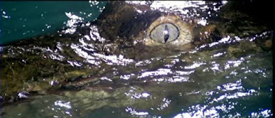 The Great Alligator 1979 Movie Image 7