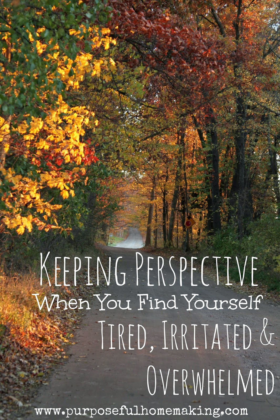 Purposeful Homemaking: Keeping Perspective When You Find Yourself Tired ...