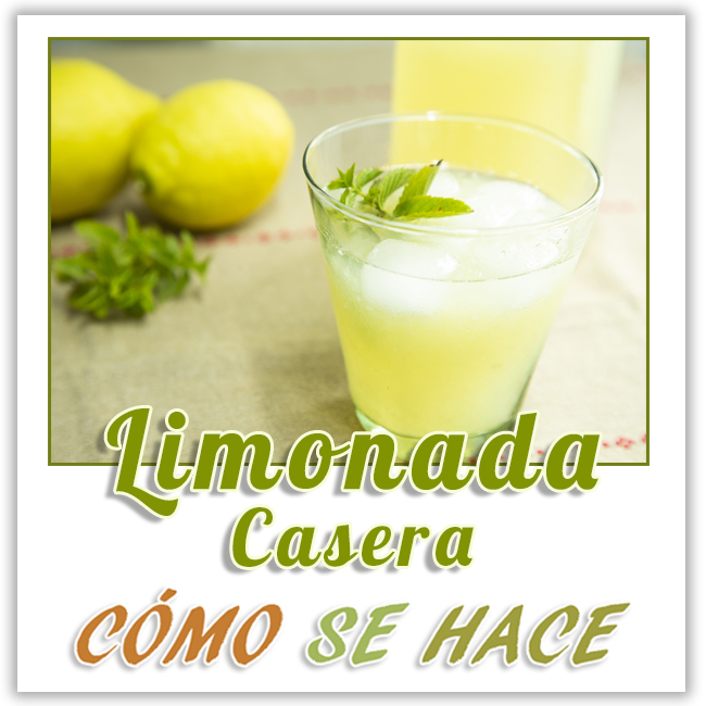  LIMONADA CASERA