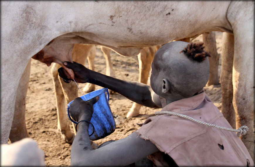 السفر إلى جنوب السودان لراغبي السياحة